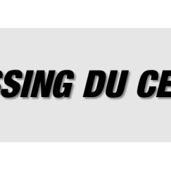 Découpe de lettres :...