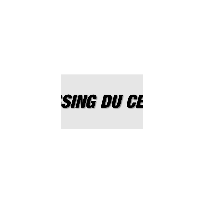 Découpe de lettres : "PRESSING DU CENTRE"