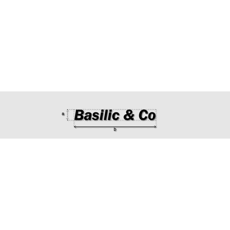 Découpe de lettres : "Basilic & Co"