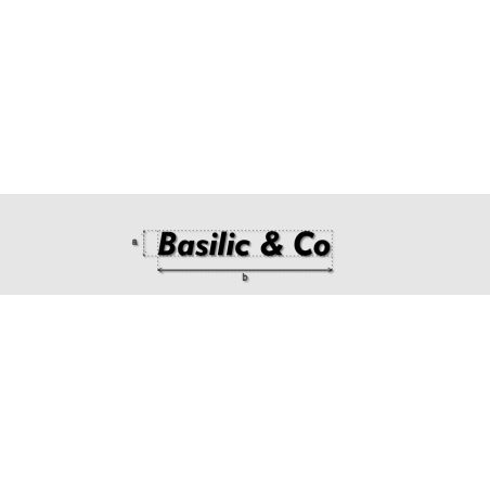 Découpe de lettres : "Basilic & Co"