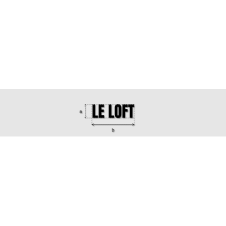 Découpe de lettres : "LE LOFT"