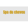 Découpe de lettres : "Spa du cheveu"