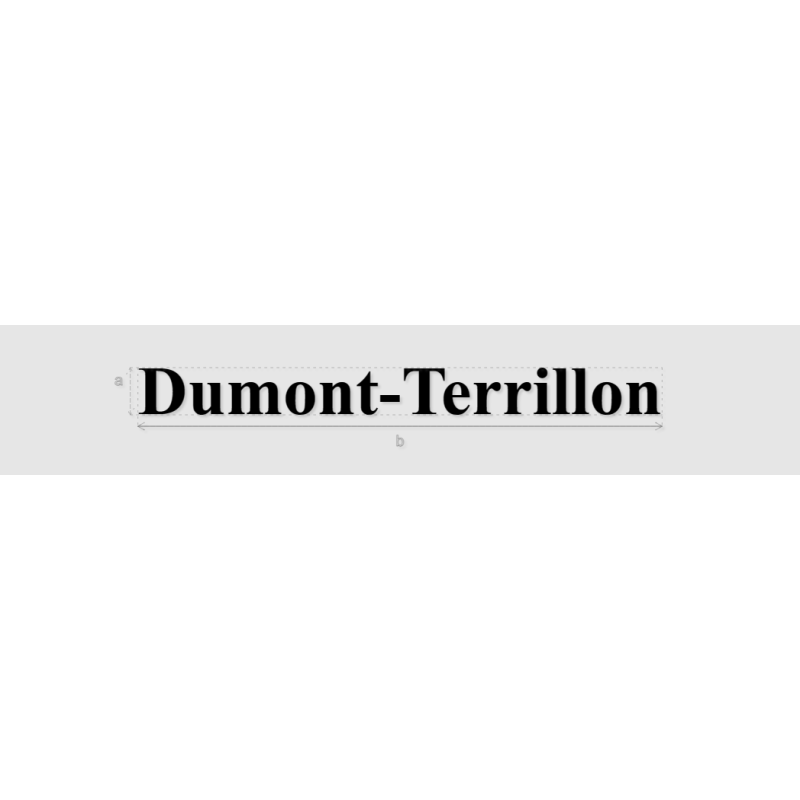Découpe de lettres : "Dumont-Terrillon"