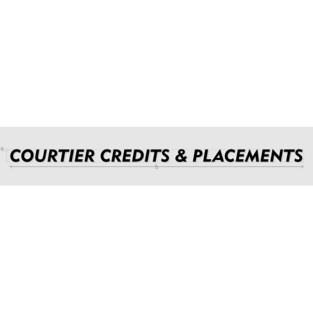 Découpe de lettres : "COURTIER CREDITS & PLACEMENTS"