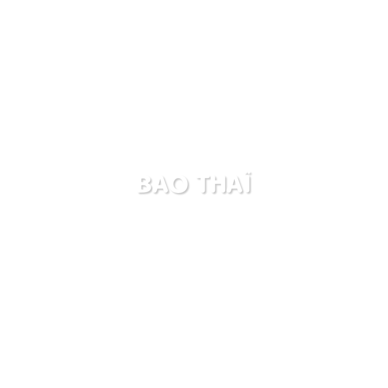 Découpe de lettres : "BAO THAÏ"
