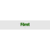Découpe de lettres : "Fôret"