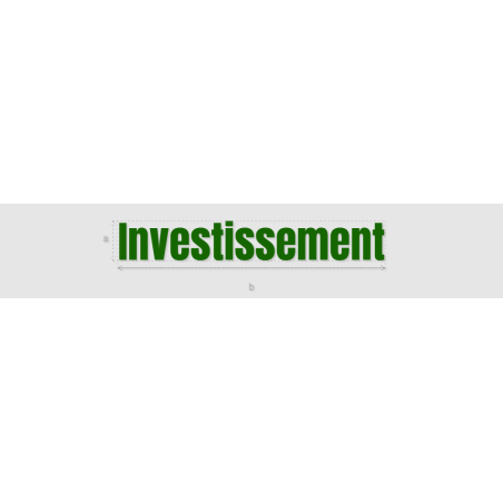 Découpe de lettres : "Investissement"