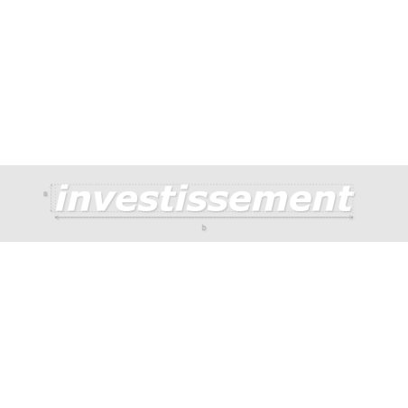 Découpe de lettres : "investissement"