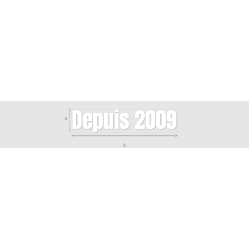 Découpe de lettres : "Depuis 2009"