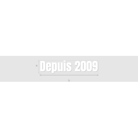 Découpe de lettres : "Depuis 2009"