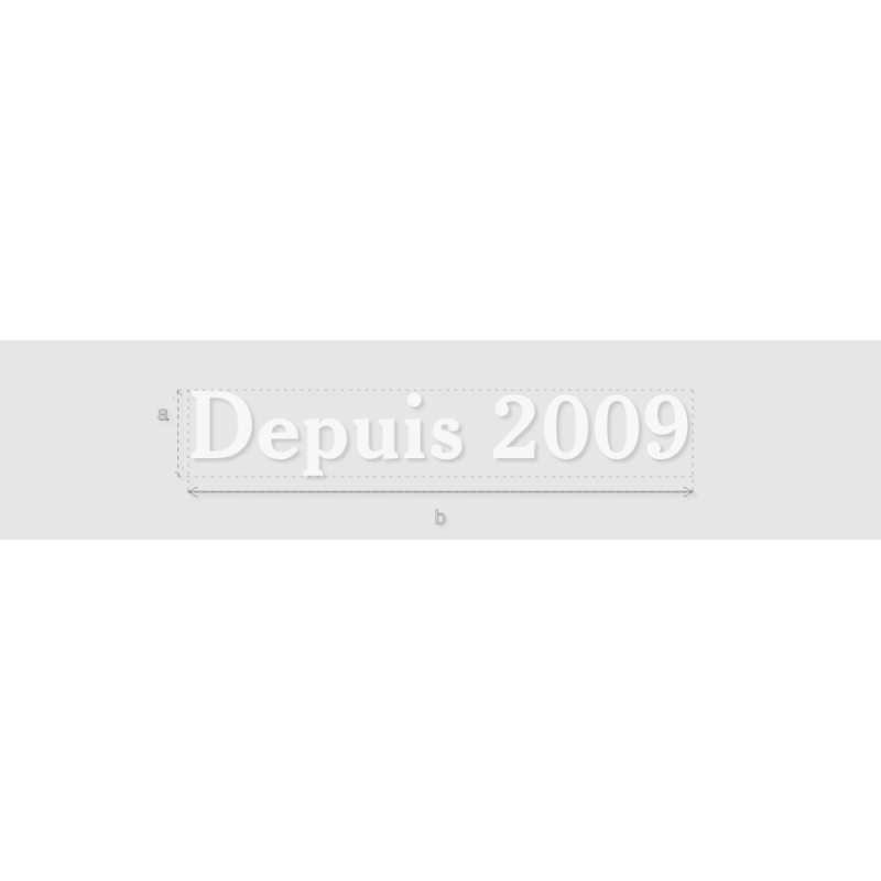 Découpe de lettres : "Depuis 2009"