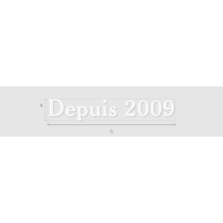 Découpe de lettres : "Depuis 2009"