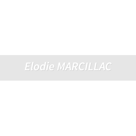 Découpe de lettres : "Elodie MARCILLAC"