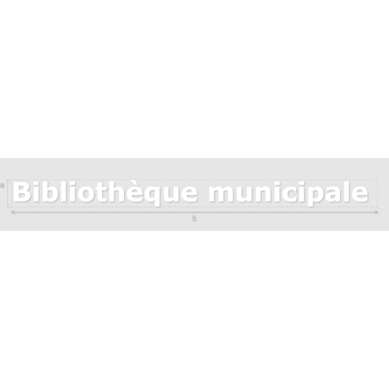 Découpe de lettres : "Bibliothèque municipale "