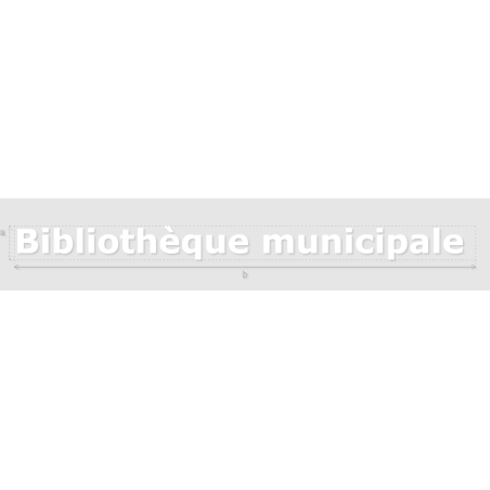 Découpe de lettres : "Bibliothèque municipale "