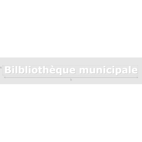 Découpe de lettres : "Bilbliothèque municipale"