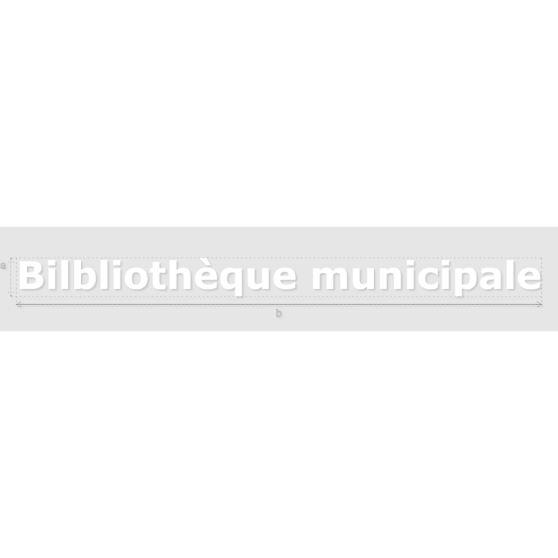 Découpe de lettres : "Bilbliothèque municipale"