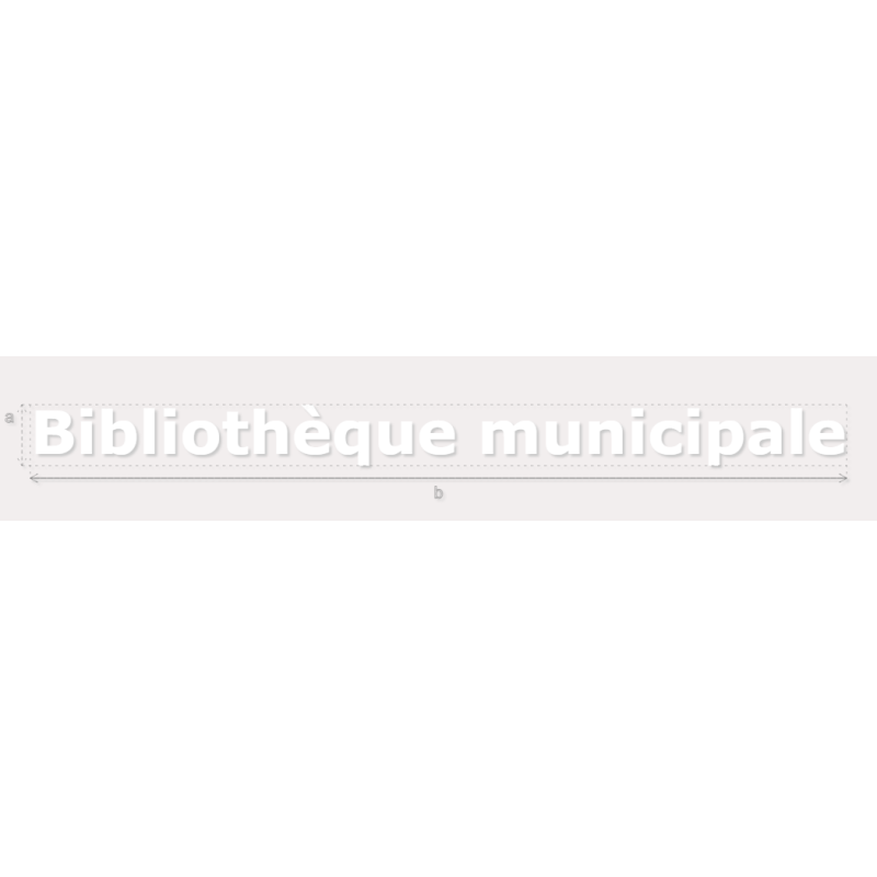 Découpe de lettres : "Bibliothèque municipale"