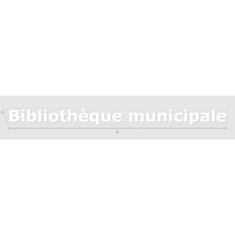 Découpe de lettres : "Bibliothèque municipale"