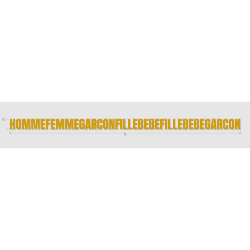 Découpe de lettres : "HOMMEFEMMEGARCONFILLEBEBEFILLEBEBEGARCON"