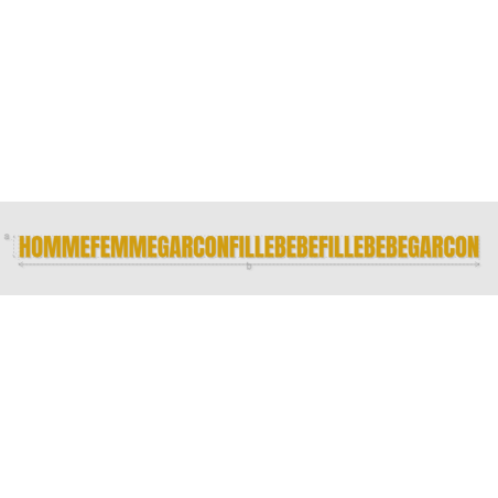 Découpe de lettres : "HOMMEFEMMEGARCONFILLEBEBEFILLEBEBEGARCON"