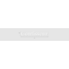 Découpe de lettres : "Confisseur"