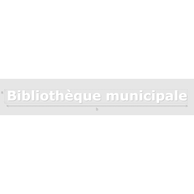 Découpe de lettres : "Bibliothèque municipale"