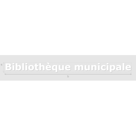 Découpe de lettres : "Bibliothèque municipale"