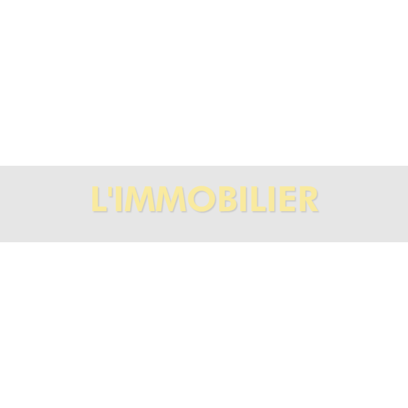 Découpe de lettres : "L'IMMOBILIER"