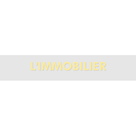 Découpe de lettres : "L'IMMOBILIER"
