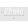 Découpe de lettres : "Photo"