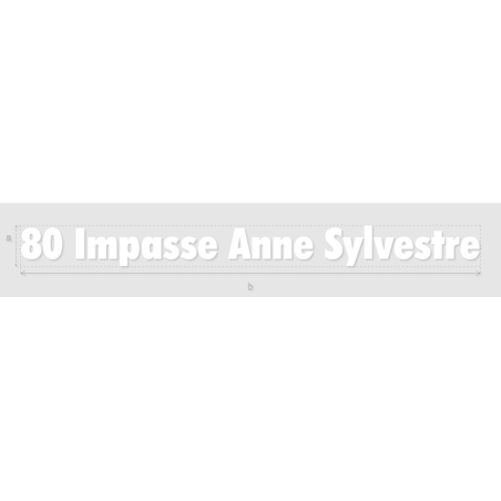 Découpe de lettres : "80 Impasse Anne Sylvestre"