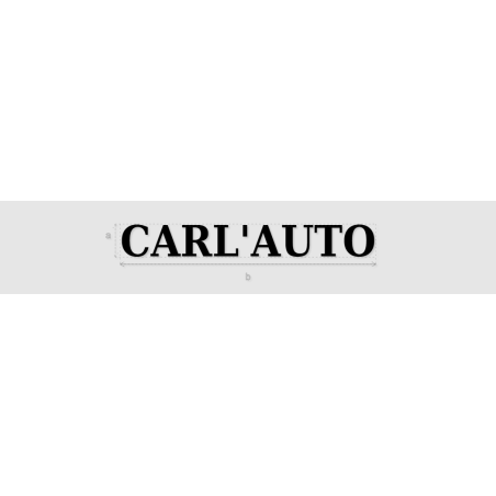 Découpe de lettres : "CARL'AUTO"
