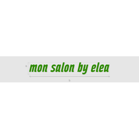 Découpe de lettres : "mon salon by elea"