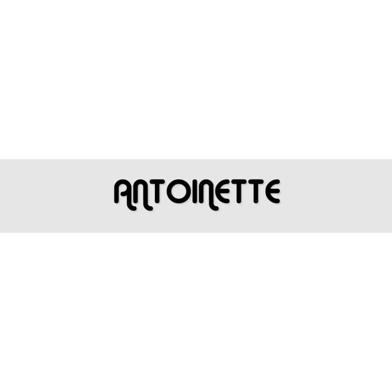Découpe de lettres : "ANTOINETTE"
