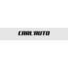 Découpe de lettres : "CARL'AUTO"