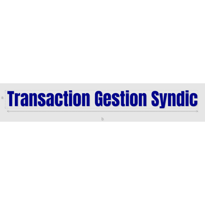 Découpe de lettres : "Transaction Gestion Syndic"