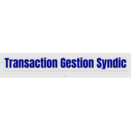 Découpe de lettres : "Transaction Gestion Syndic"