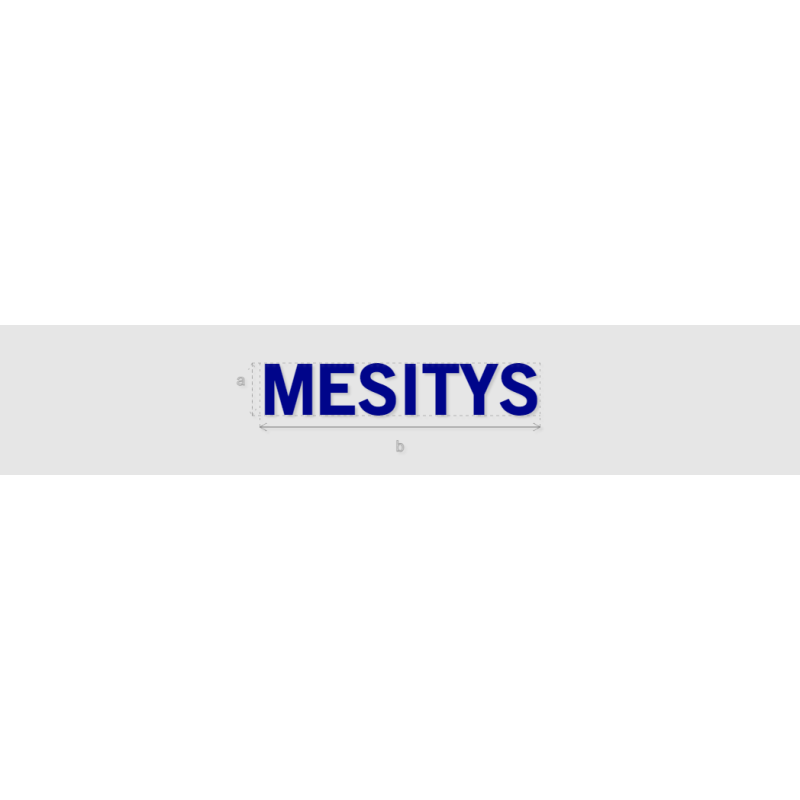 Découpe de lettres : "MESITYS"