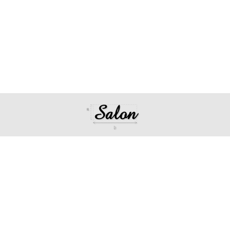 Découpe de lettres : "Salon"