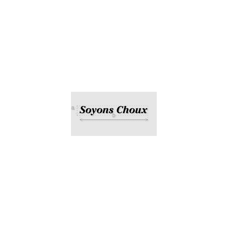 Découpe de lettres : "Soyons Choux"