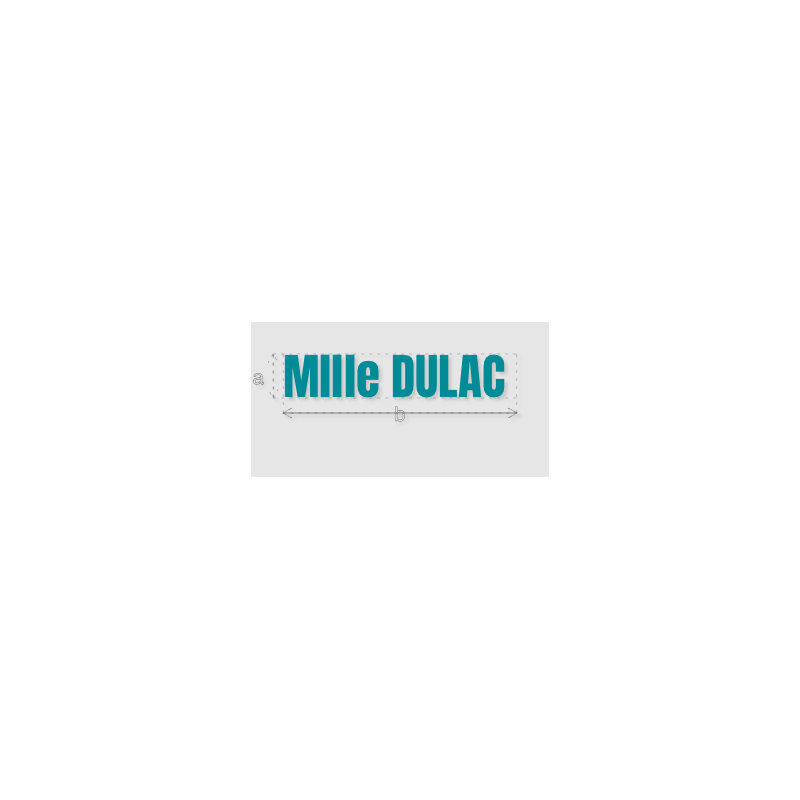 Découpe de lettres : "Mllle DULAC "
