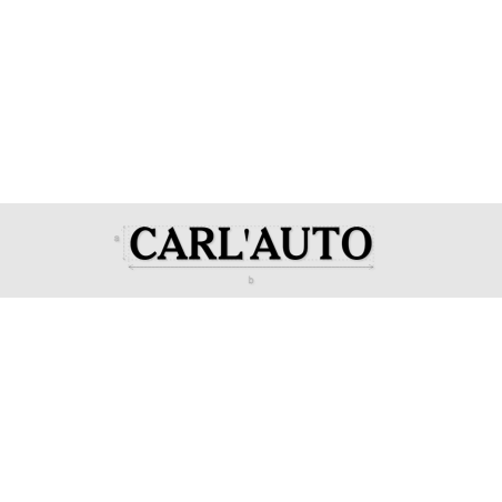 Découpe de lettres : "CARL'AUTO"