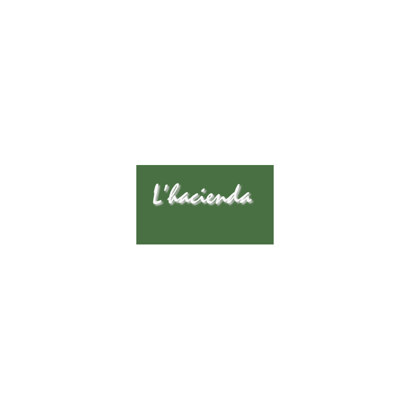 Découpe de lettres : "L'hacienda "