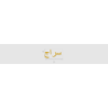 Découpe de lettres : "سراج"