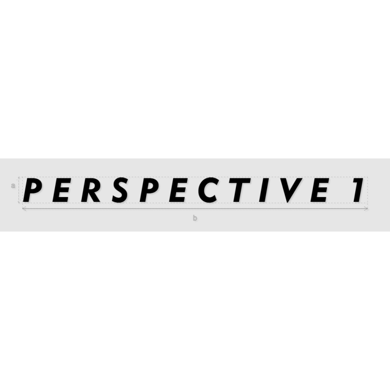 Découpe de lettres : "P E R S P E C T I V E  1"