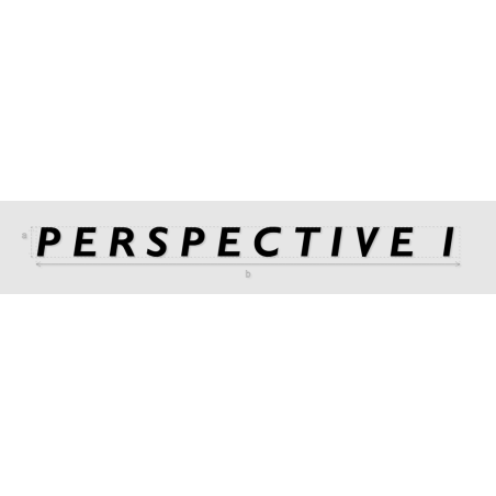 Découpe de lettres : "P E R S P E C T I V E  1"