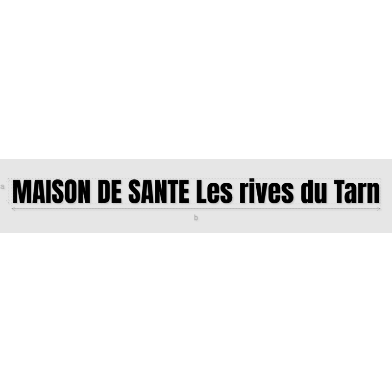 Découpe de lettres : "MAISON DE SANTE Les rives du Tarn"