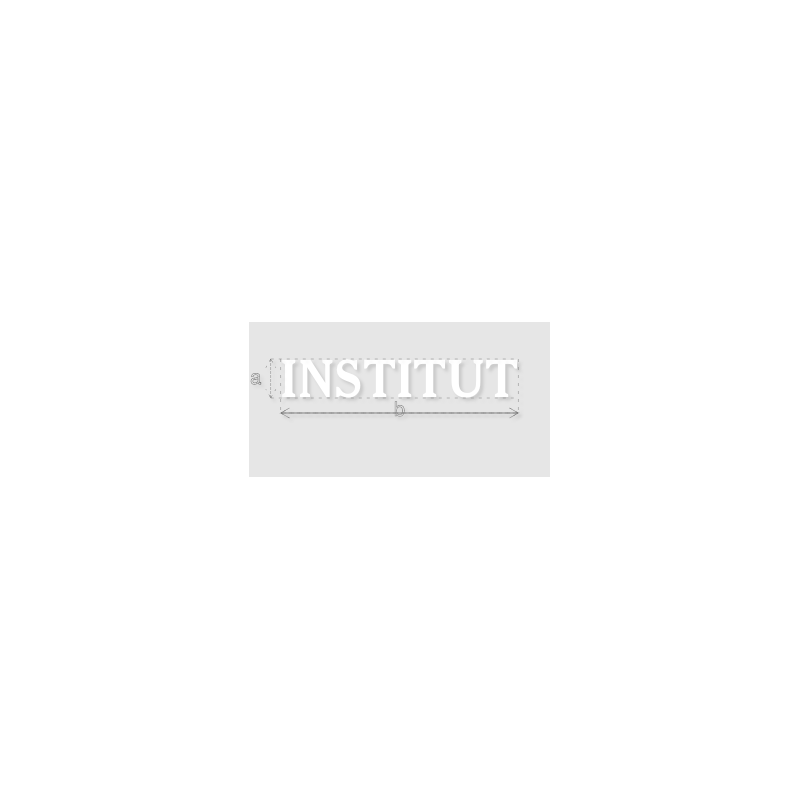 Découpe de lettres : "INSTITUT"