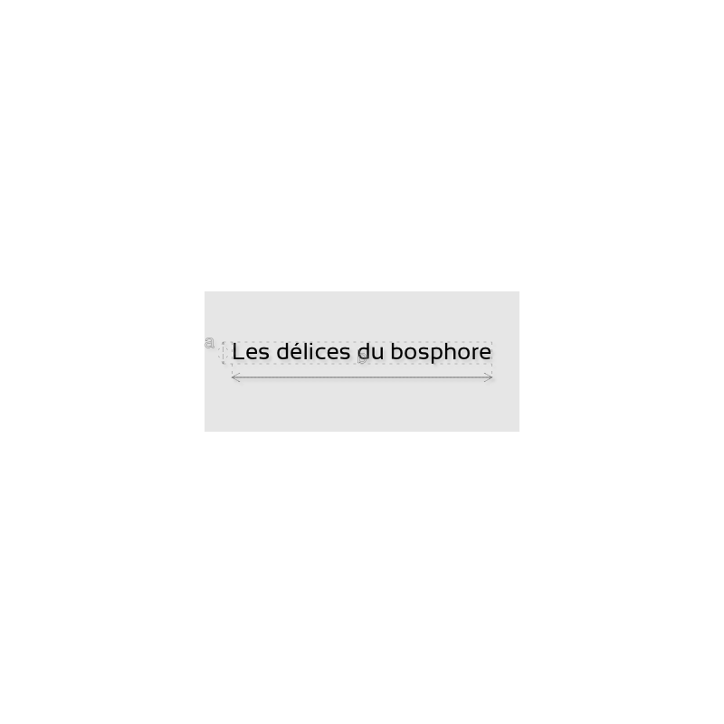 Découpe de lettres : "Les délices du bosphore"